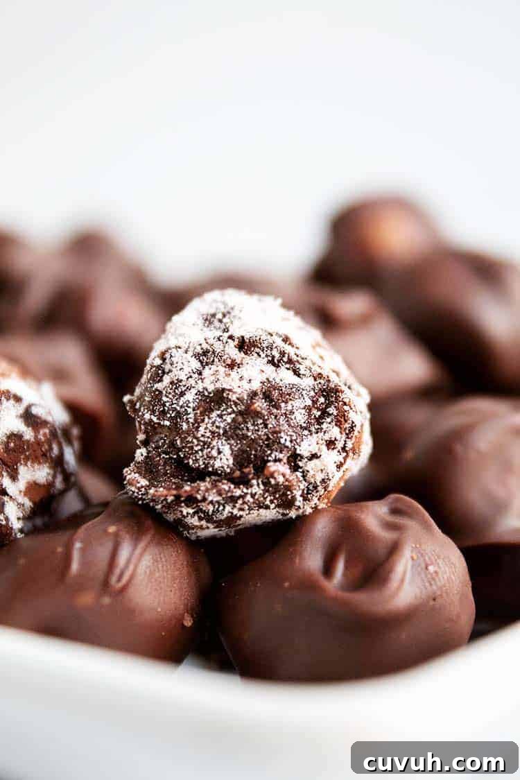 closeup of chocolate-covered macadamia nut covered in cocoa powder