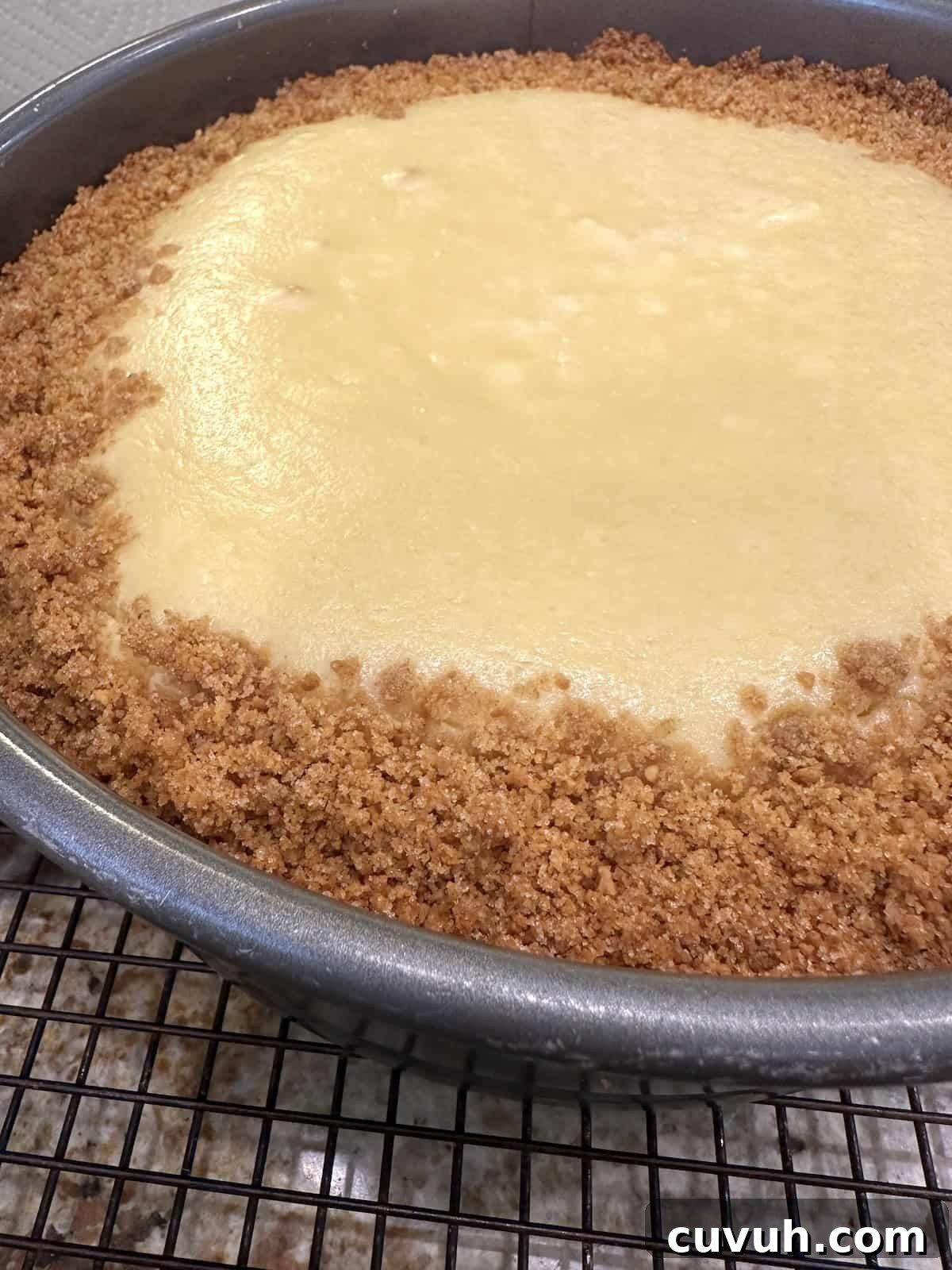 A baked vanilla cheesecake.