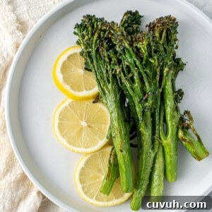Crispy Air Fryer Broccolini with Lemon Garlic Salsa 11 img 14156 10