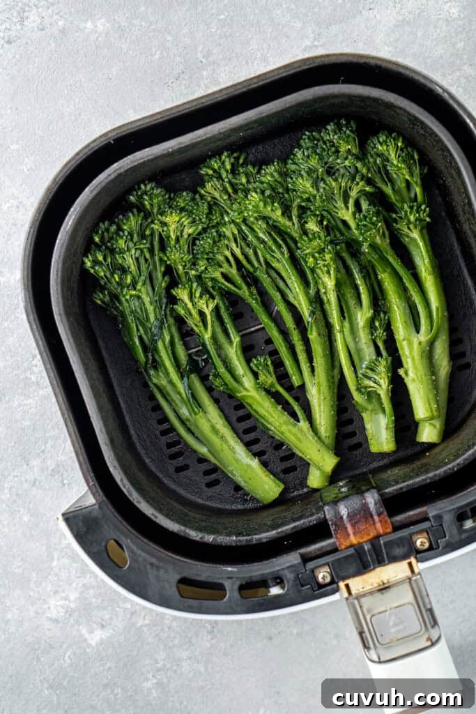 Crispy Air Fryer Broccolini with Lemon Garlic Salsa 6 Broccolini in the air fryer basket.
