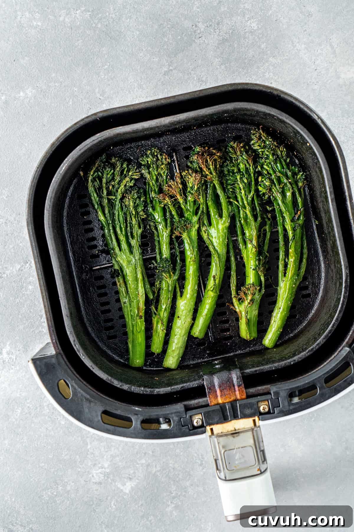 Crispy Air Fryer Broccolini with Lemon Garlic Salsa 7 Cooked broccolini in the air fryer basket.