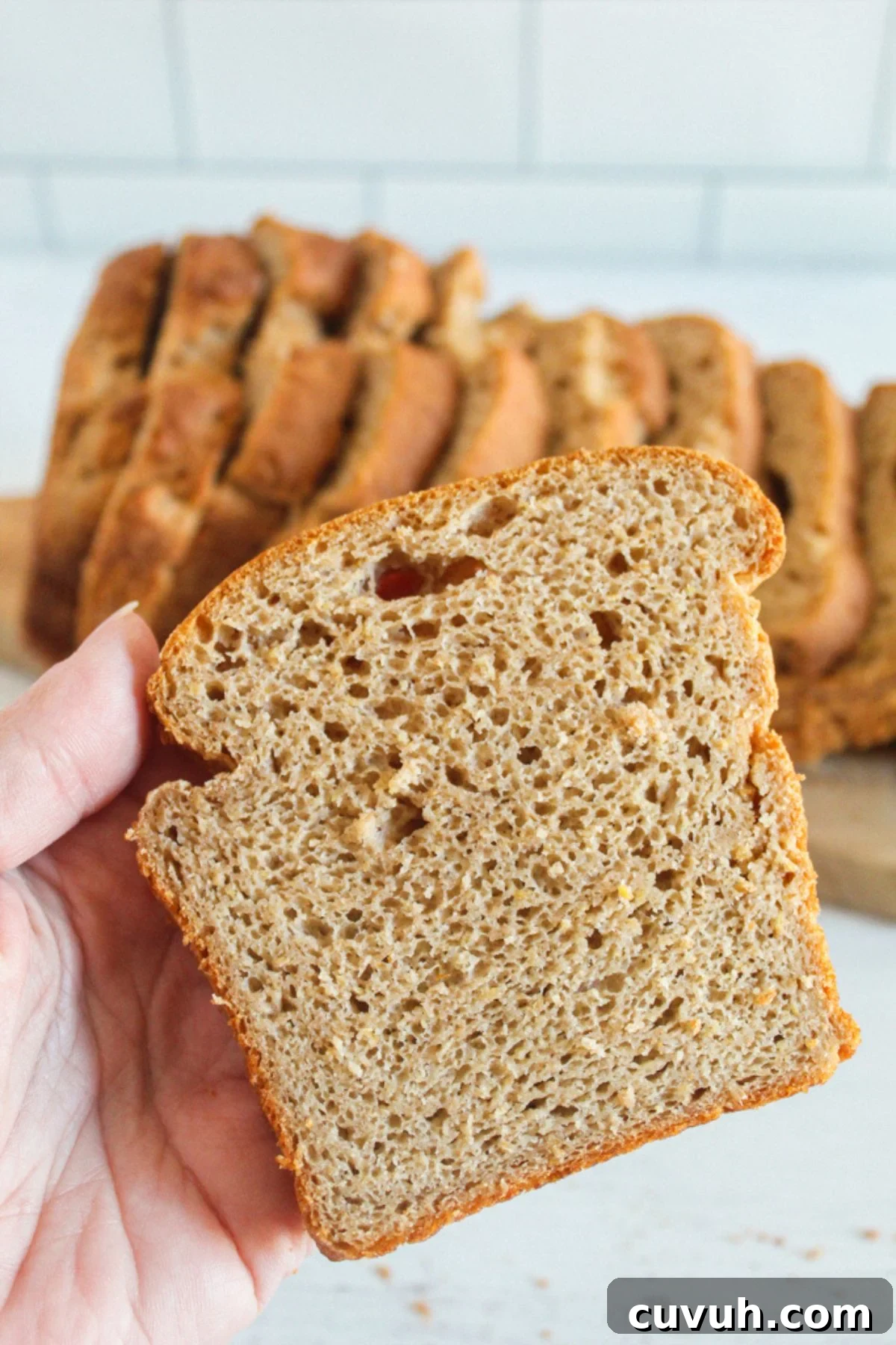 hand holding a slice of bread