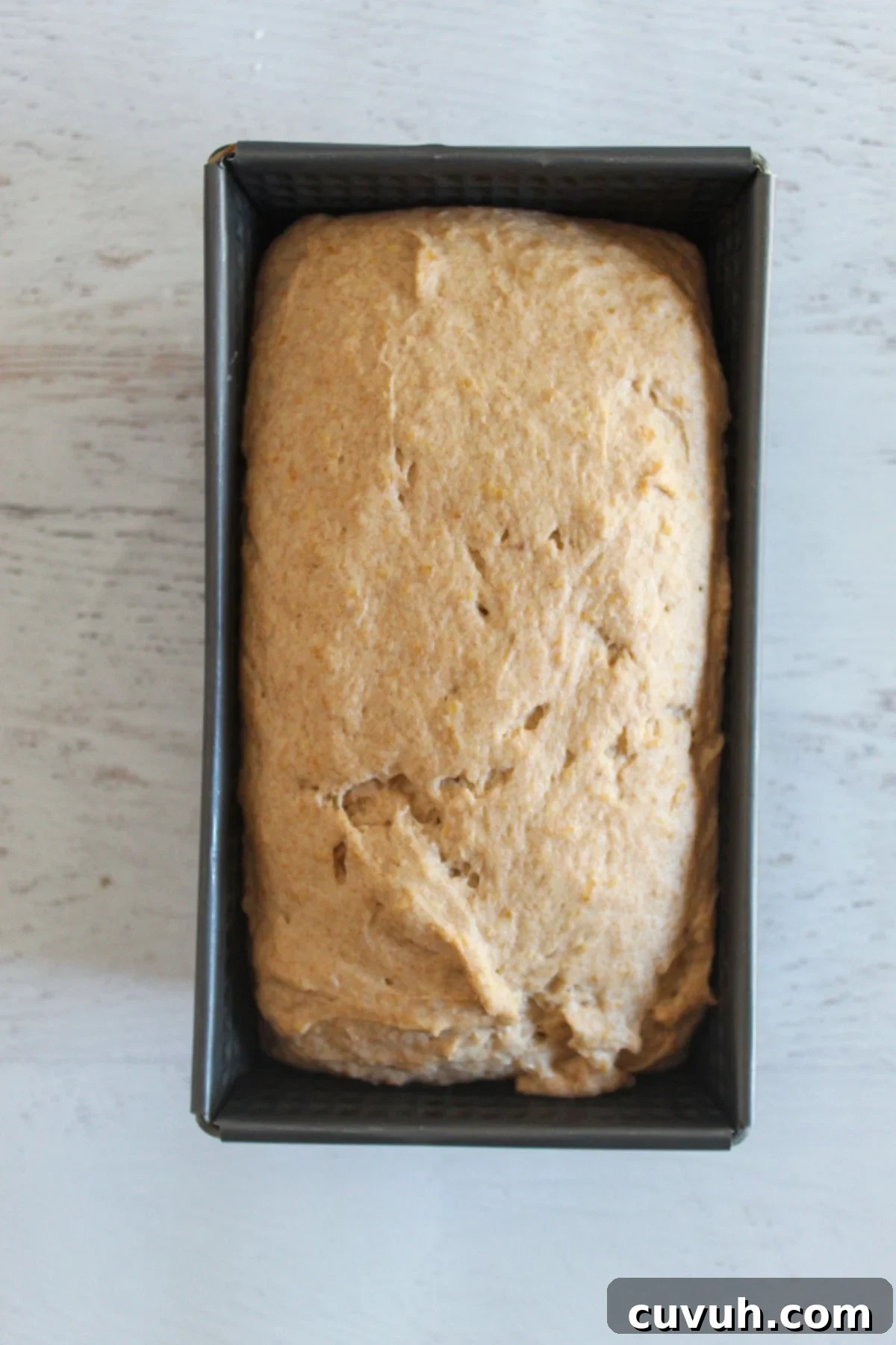 fully risen bread dough