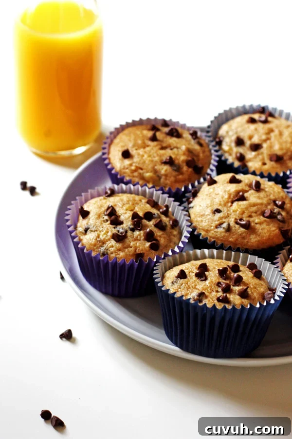 Banana Chocolate Chip Muffins
