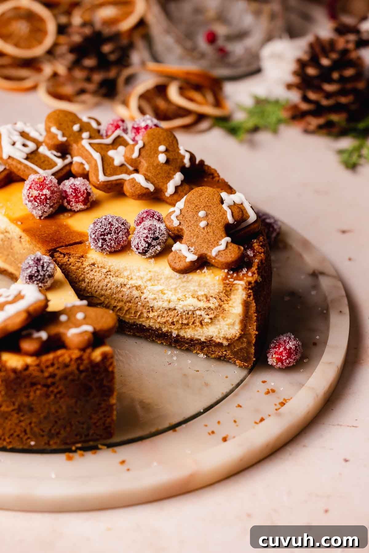 Gingerbread Cheesecake Recipe with Spiced Graham Crust 2 gingerbread cheesecake with slice taken out
