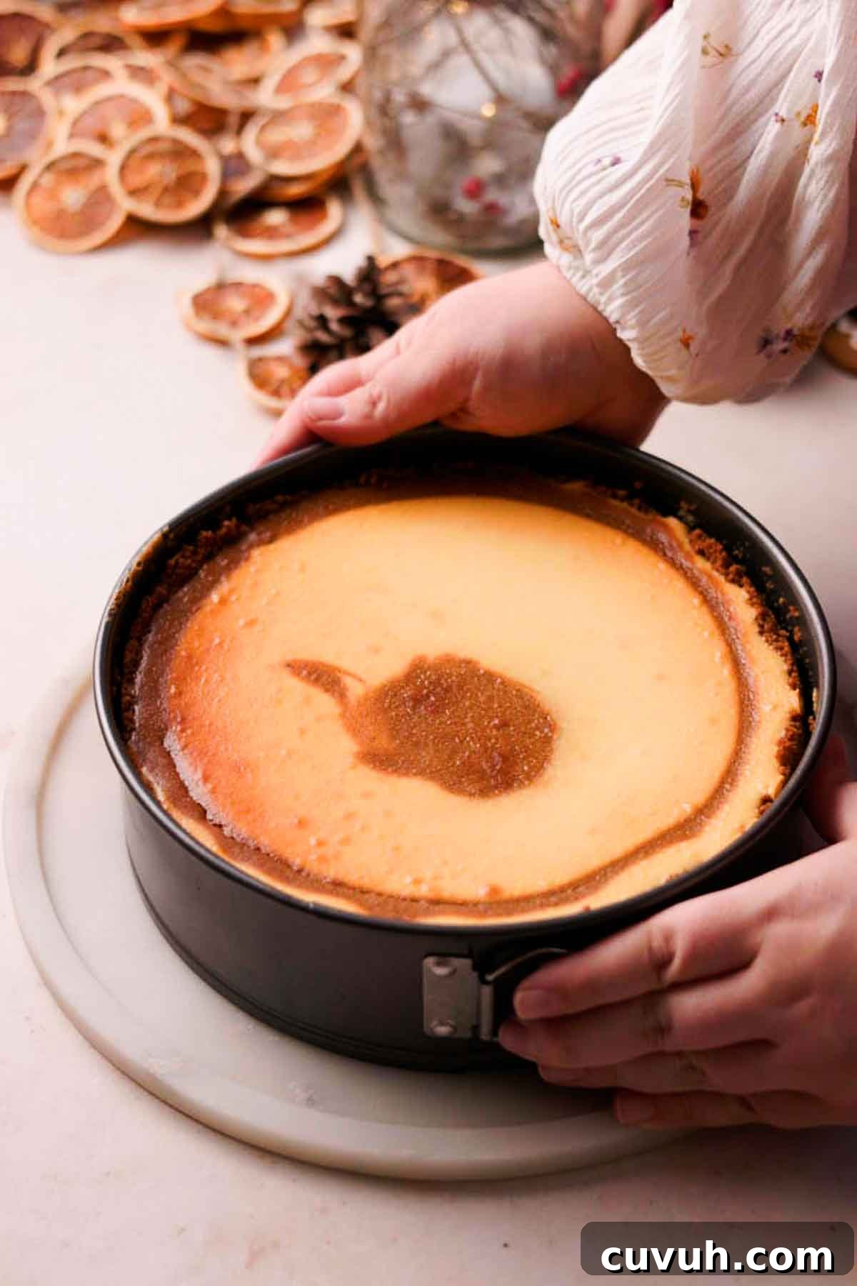Gingerbread Cheesecake Recipe with Spiced Graham Crust 14 cooled gingerbread cheesecake