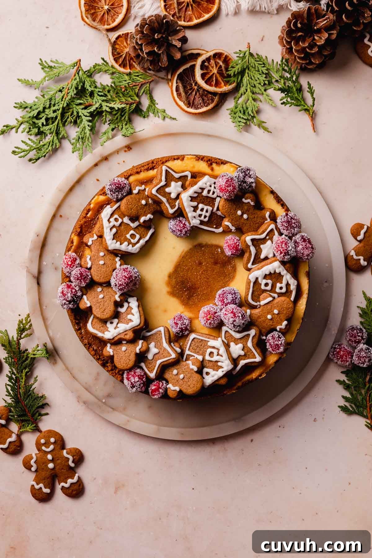 Gingerbread Cheesecake Recipe with Spiced Graham Crust 17 top view of gingerbread cheesecake