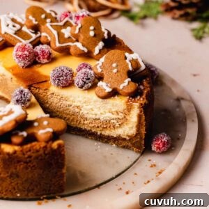 Gingerbread Cheesecake Recipe with Spiced Graham Crust 22 gingerbread cheesecake