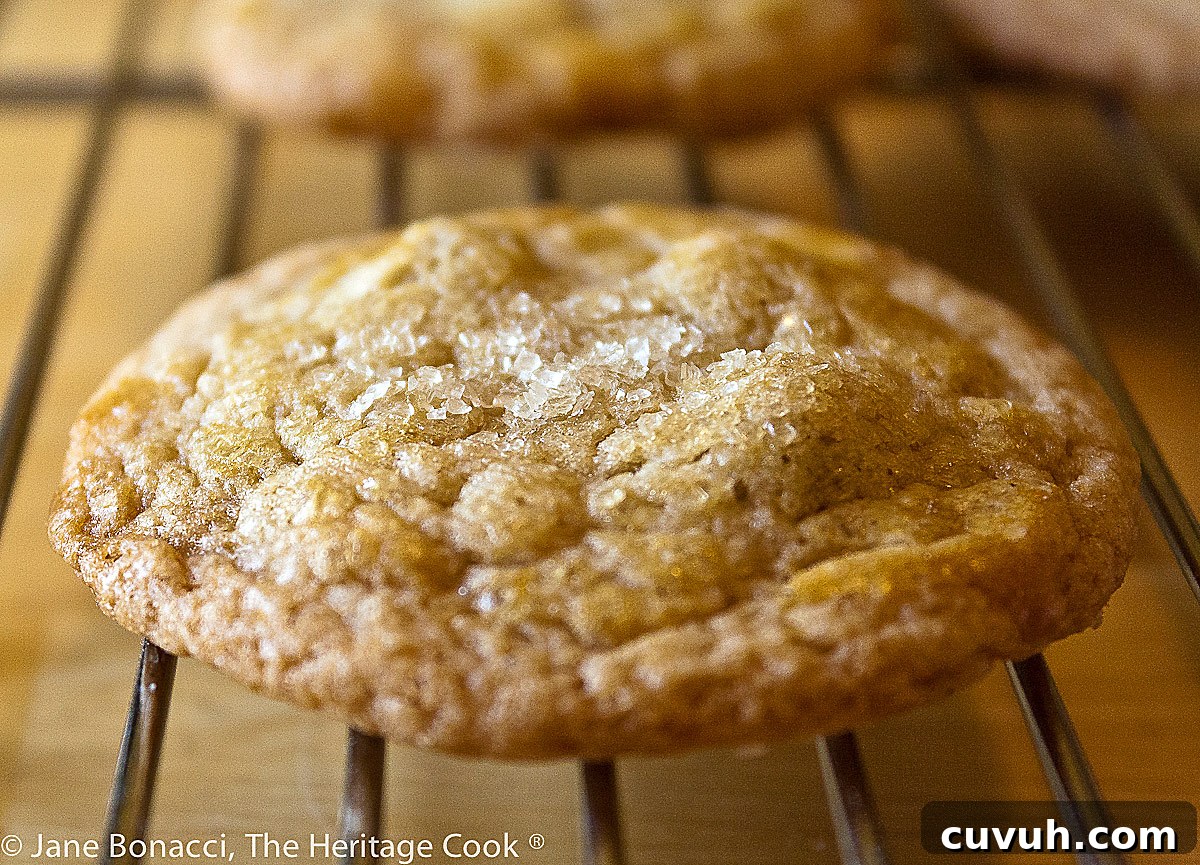 single cookie cooling on rack; Nutella Filled Vanilla Cookies © 2022 Jane Bonacci, The Heritage Cook