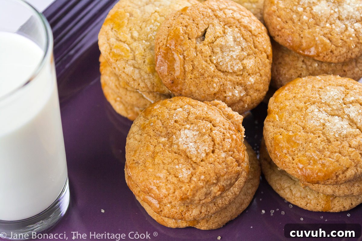 Nutella Filled Vanilla Cookies © 2022 Jane Bonacci, The Heritage Cook