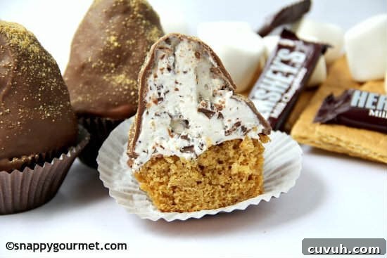 Fourth of July Celebration Guide: Events, Recipes & Fireworks 2 Chunky S'mores Dipped Cupcakes | snappygourmet.com