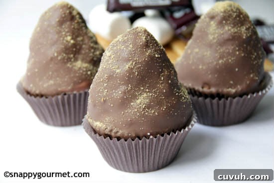 Fourth of July Celebration Guide: Events, Recipes & Fireworks 3 Chunky S'mores Dipped Cupcakes | snappygourmet.com
