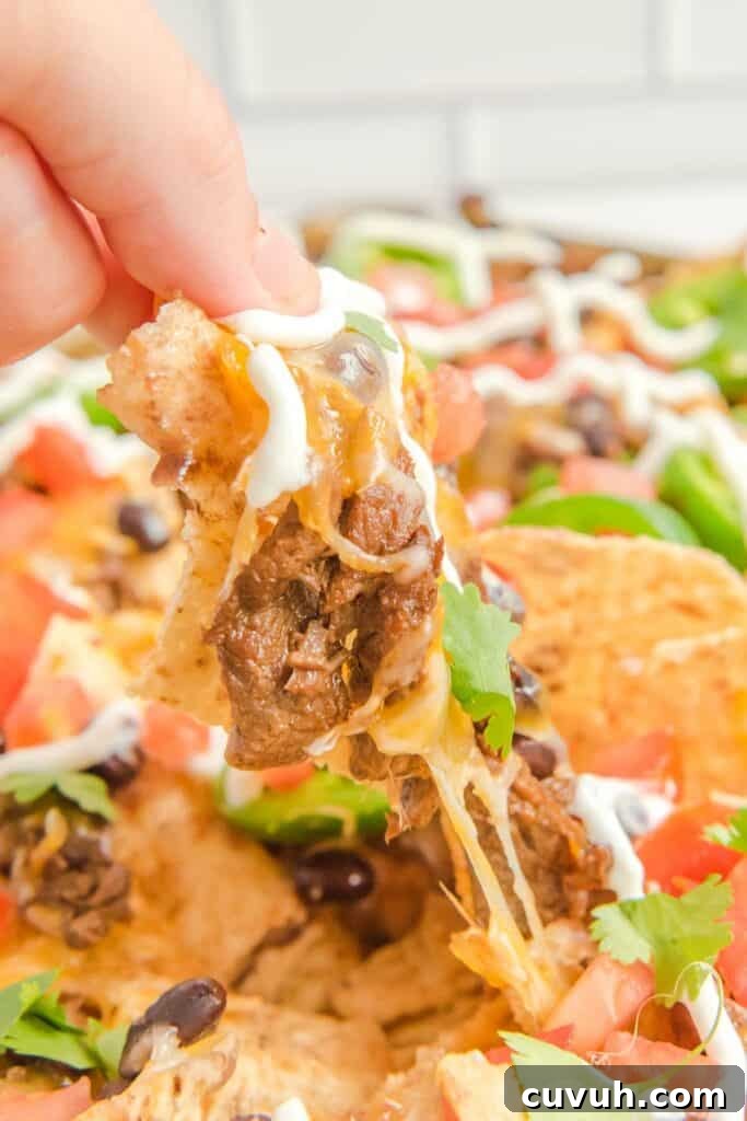 Slow Cooker Steak Nachos with Melted Cheese Recipe 4 steak nachos on a plate