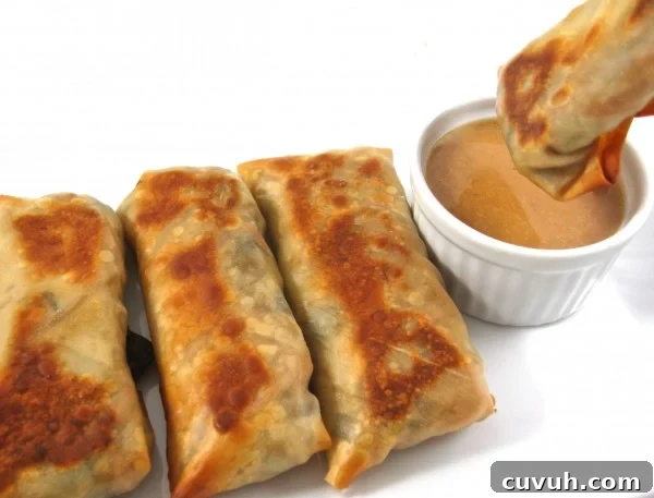 Crispy Baked Vegetarian Egg Rolls with Spicy Peanut Dipping Sauce 2 Skinny Baked Vegetarian Egg Rolls with Peanut Sauce