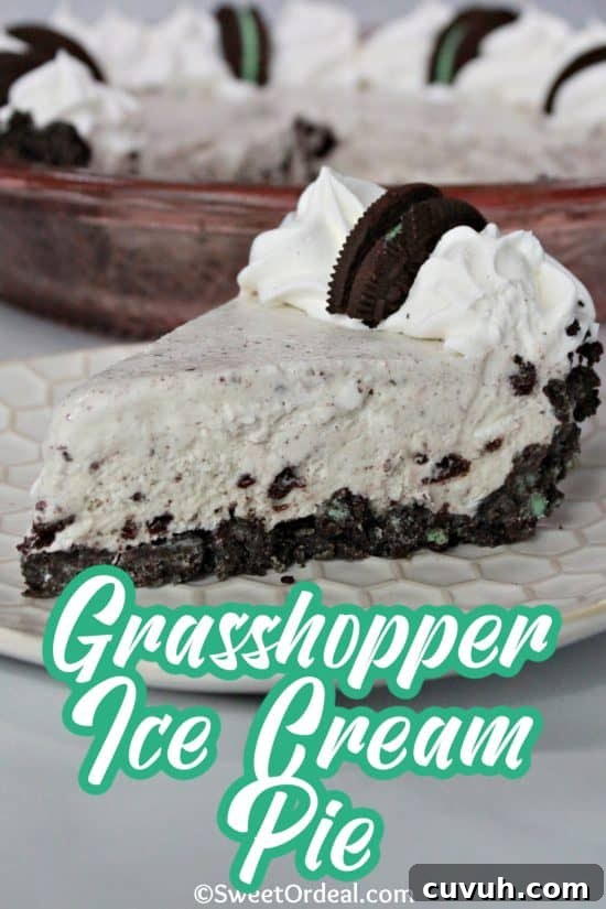 Grasshopper Mint Chocolate Ice Cream Pie Recipe 2 Grasshopper Ice Cream Pie is creamy, crunchy, and loaded with chocolate and mint flavors.