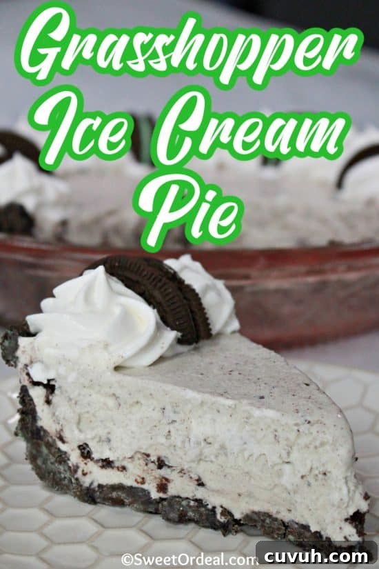 Grasshopper Mint Chocolate Ice Cream Pie Recipe 5 Whipped topping and halved Oreo cookies decorate this chocolaty, minty freezer dessert.
