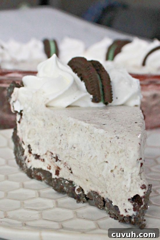 Grasshopper Mint Chocolate Ice Cream Pie Recipe 6 Grasshopper Ice Cream Pie is a no-bake freezer dessert that's perfect for holidays like St. Patrick's Day and Christmas, plus hot summer days.