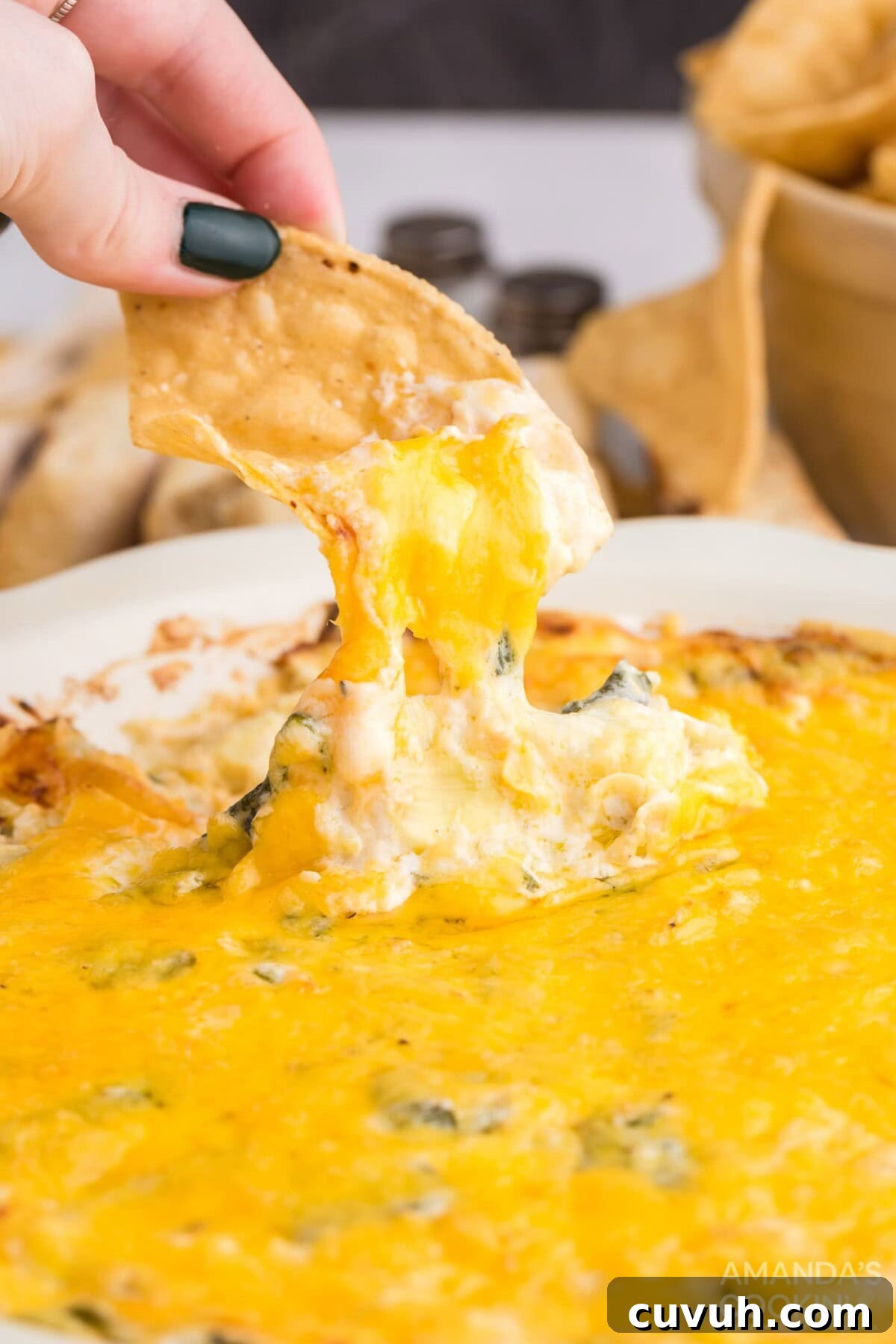 dipping chip in spinach dip