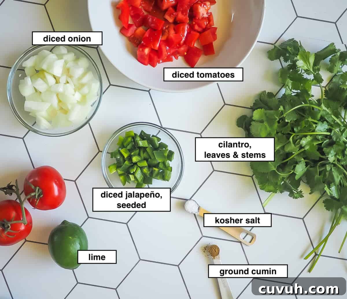 Fresh Garden Salsa Ready in 5 Minutes 3 A picture of the ingredients in homemade salsa on a tiled background, labeled.