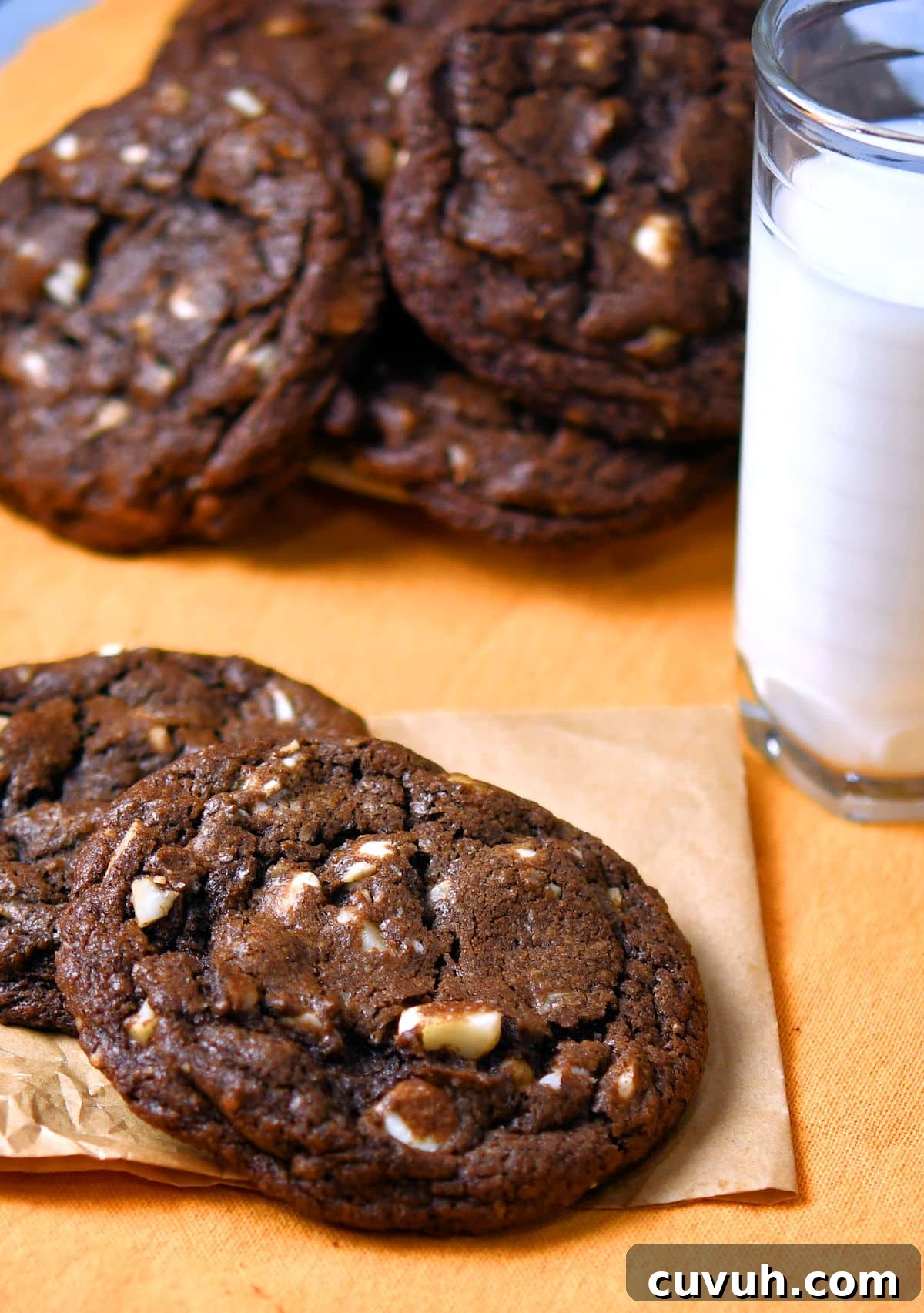 Chewy Chocolate Macadamia Nut Cookies Recipe 10 24Bite: Chocolate Macadamia Nut Cookies Recipe by Christian Guzman