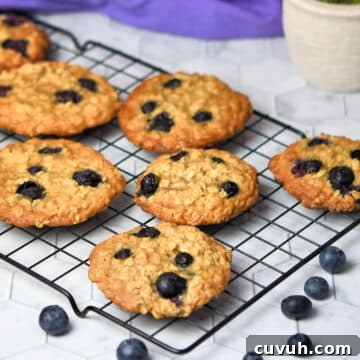 Chewy Chocolate Macadamia Nut Cookies Recipe 6 img 16351 5