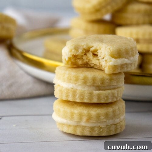 a stack of sandwich cookies with one bite taken out.