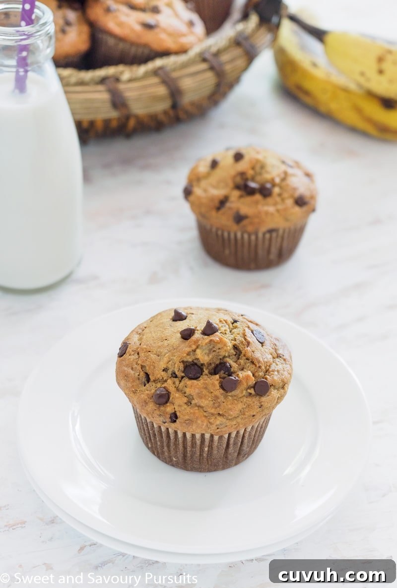 Banana Oatmeal Chocolate Chip Muffin on small white dish.