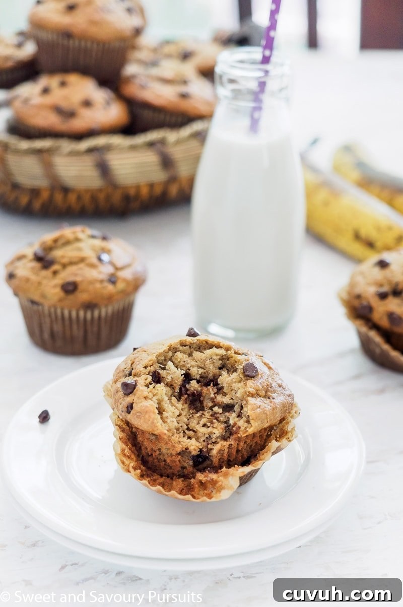 Partially eaten banana oatmeal chocolate chip muffin with more muffins in the background.