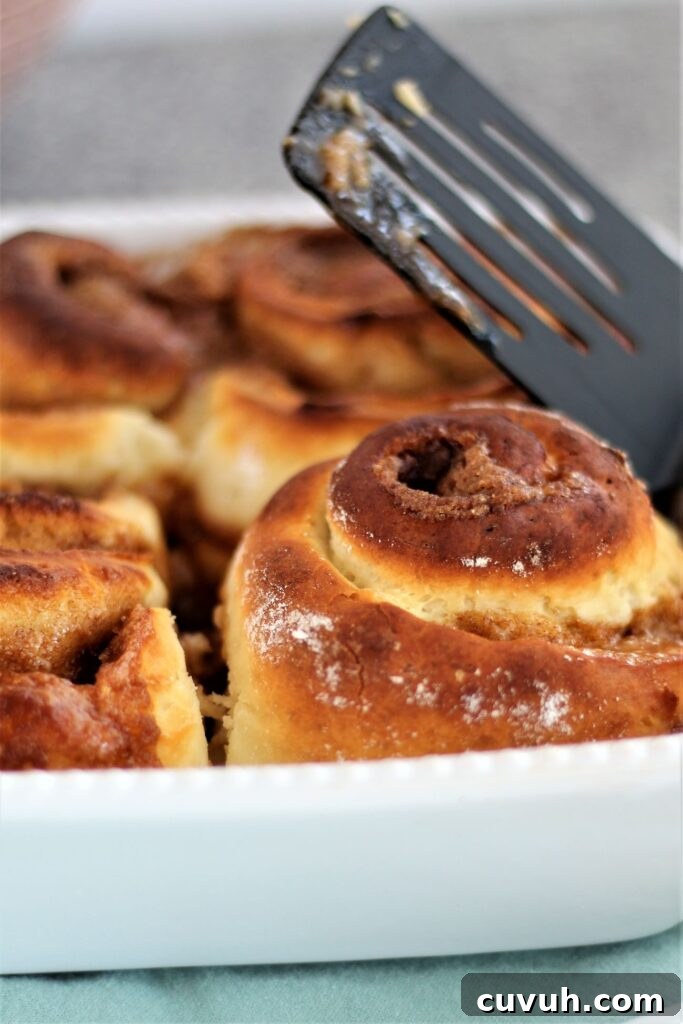 unfrosted baked cinnamon rolls in white baking pan