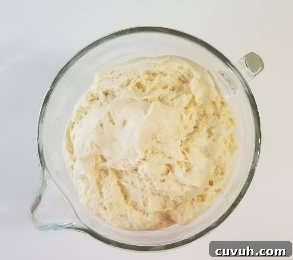 risen gluten free cinnamon roll dough