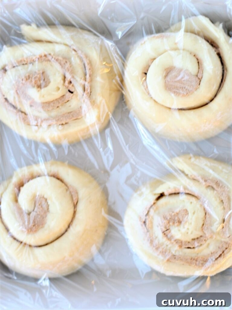 covering rolls in white baking pan with plastic wrap