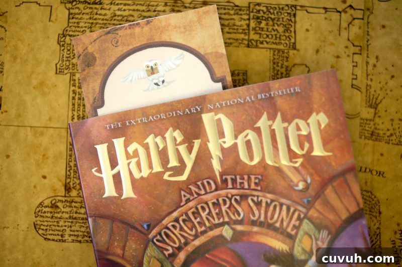 The Harry Potter series is turning 20 this year! Reread your favorites or introduce them to a new generation.
