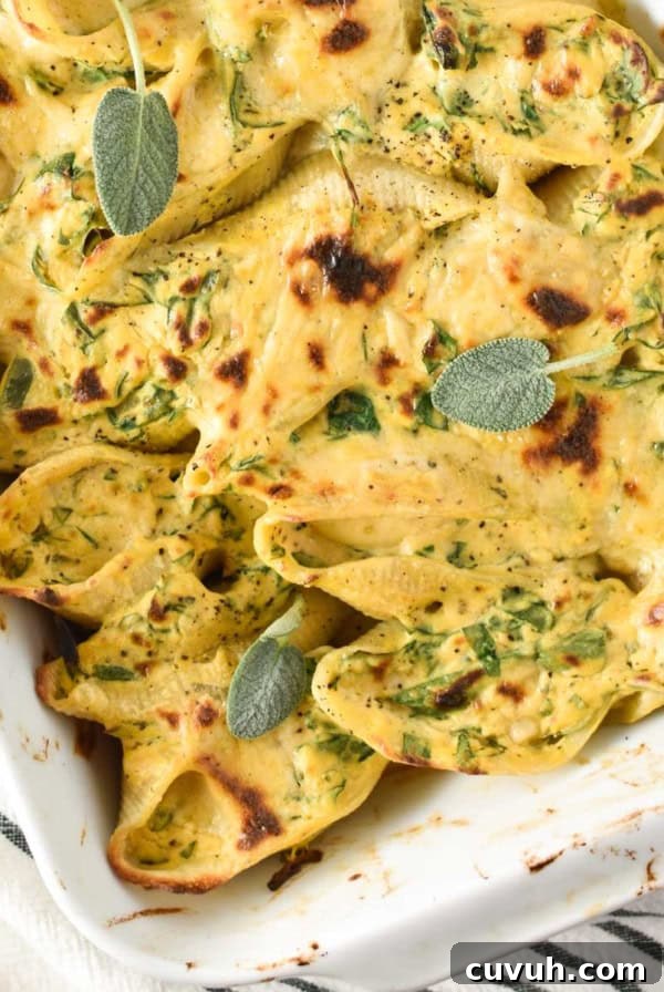 A white baking dish with butternut squash and ricotta stuffed jumbo shells.
