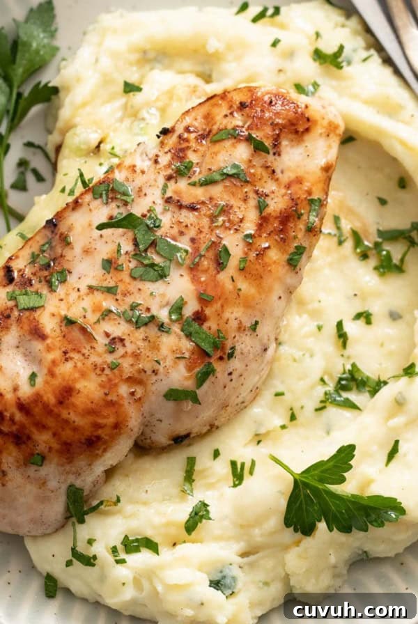 Ricotta stuffed chicken on top of mashed potatoes with parsley.