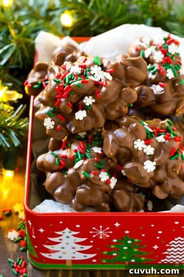 Christmas Monster Cookie Recipe: Festive Chewy Holiday Cookies 6 A holiday tin filled with crock pot candy.