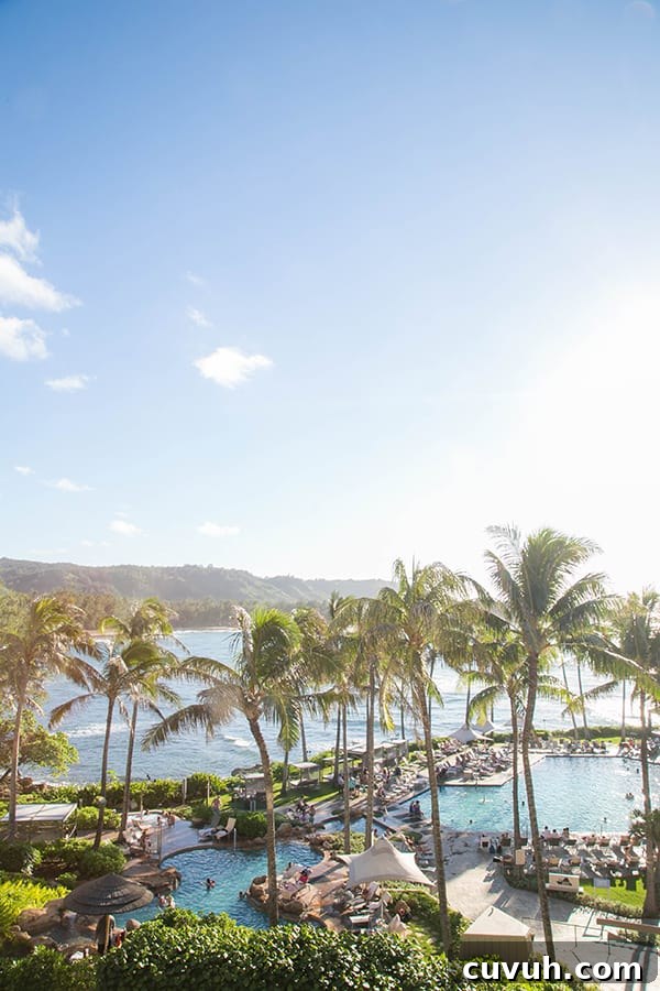 Turtle Bay Oahu Hawaii 