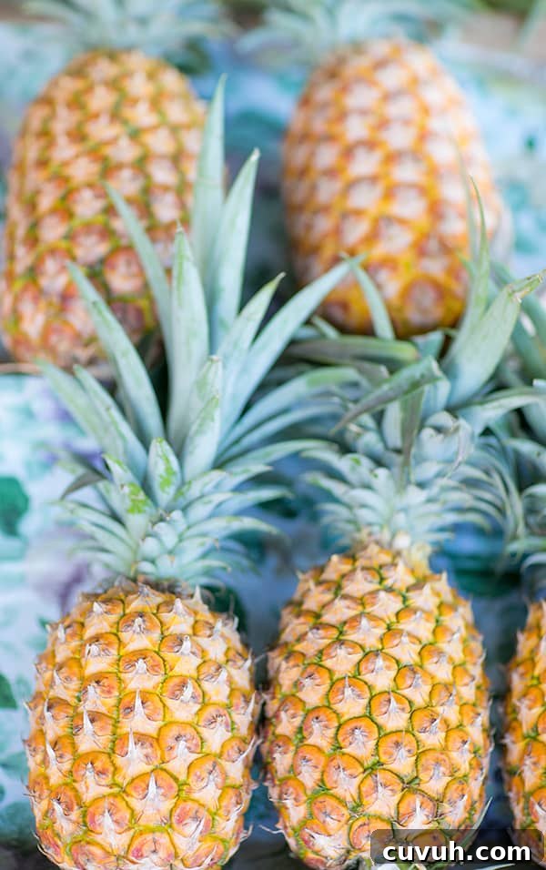 Hawaiian pineapple.