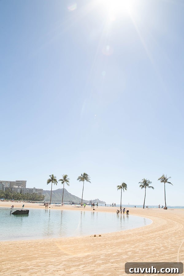 Beautiful beach with palm tress in Oahu.