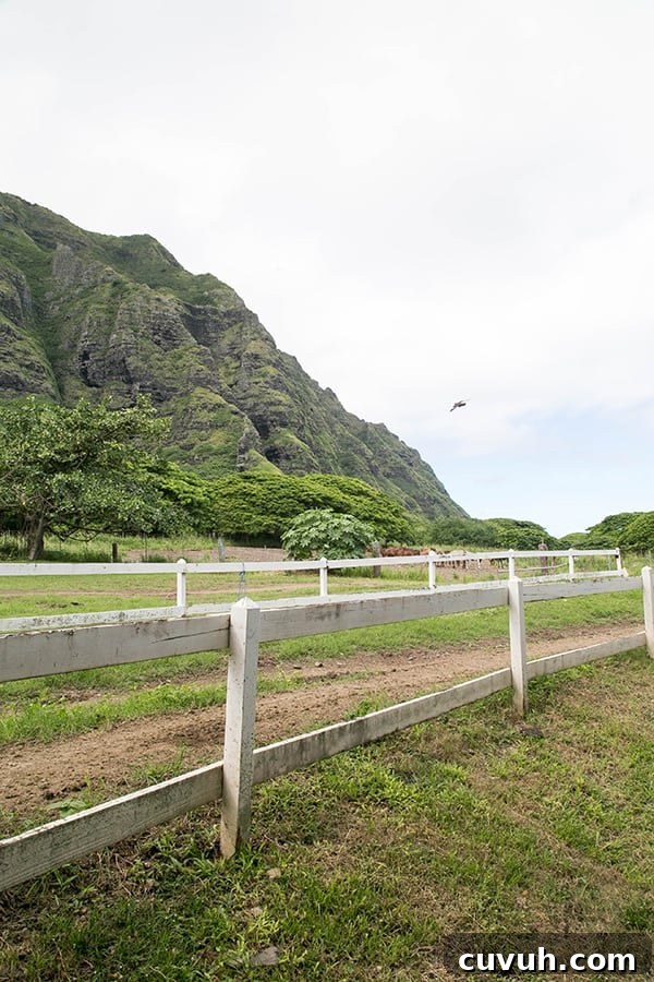  Jurassic Park in Hawaii 