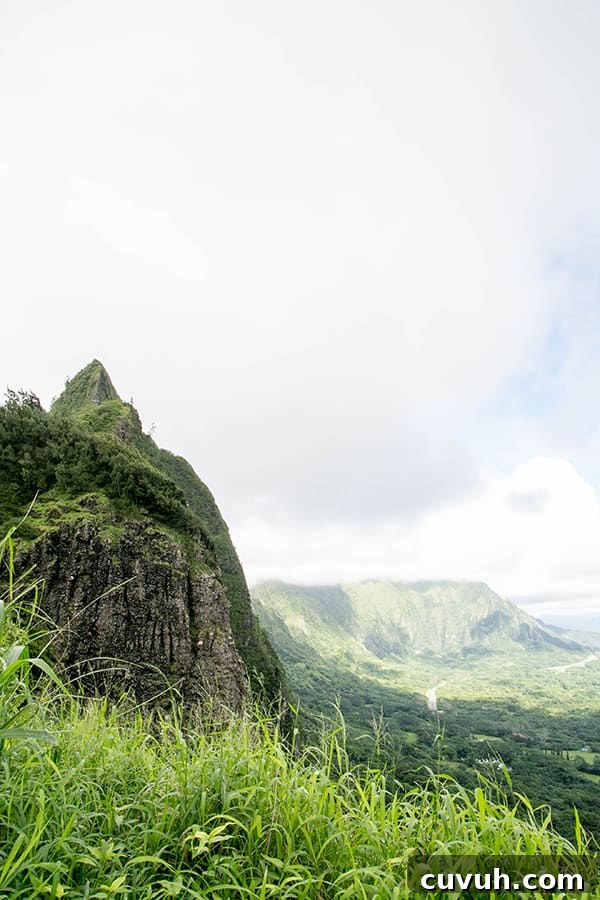 Green mountains 