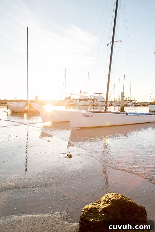 Sunset sail boats