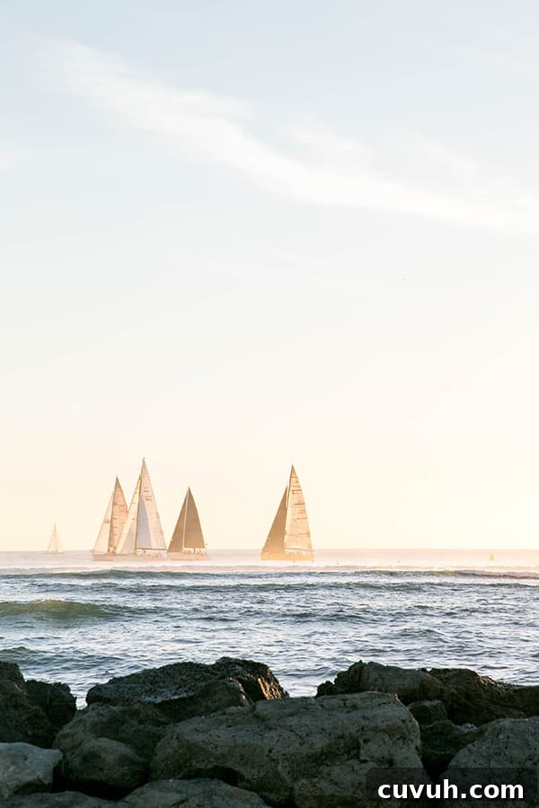 Sailboats in the ocean.