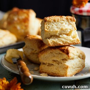 Flaky Homemade Biscuits from Scratch in 30 Minutes 11 img 18756 10