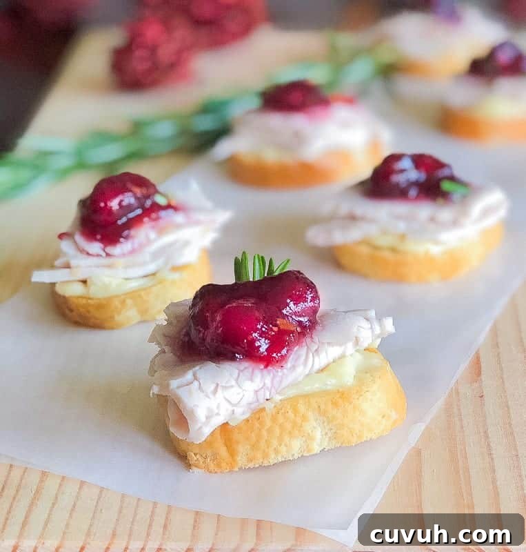 Thanksgiving Appetizers You Can Make Ahead for Stress-Free Hosting 13 Turkey crostini appetizer with cranberry and brie.