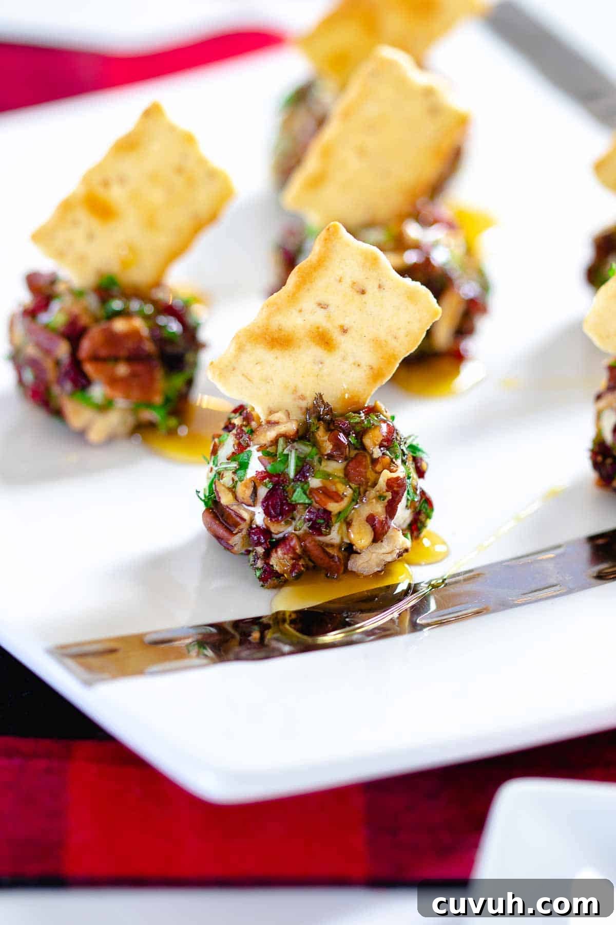 Thanksgiving Appetizers You Can Make Ahead for Stress-Free Hosting 9 Mini Christmas Cheese Balls