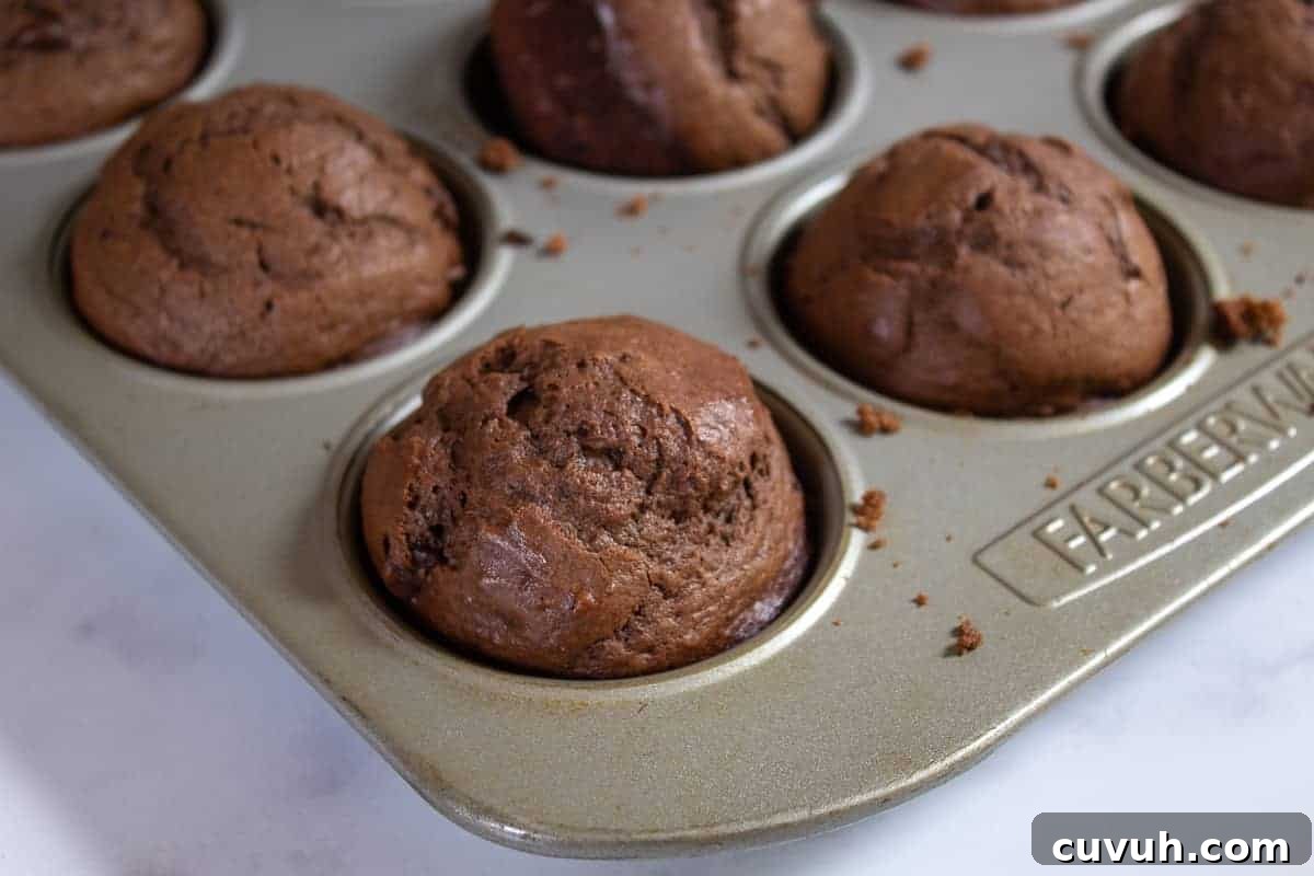 Chocolate muffins in a muffin tin.