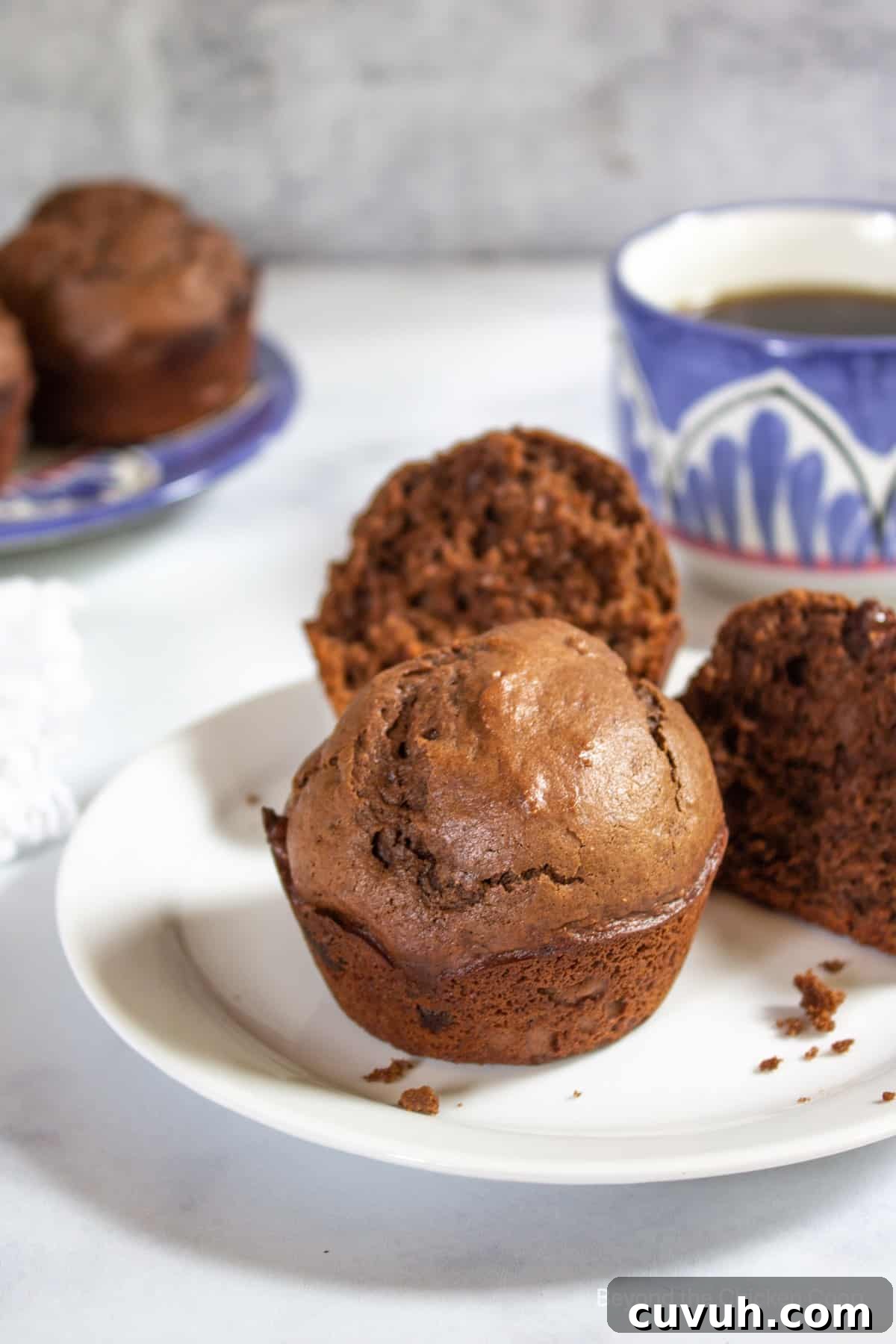 A chocolate muffin on a white plate. 