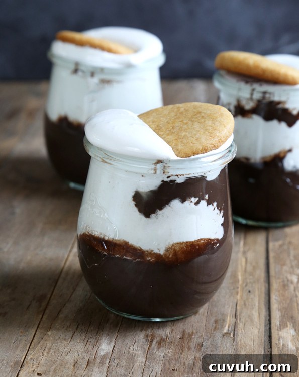 Gluten Free S'mores Parfaits S'mores Parfait with a cookie on top on white surface
