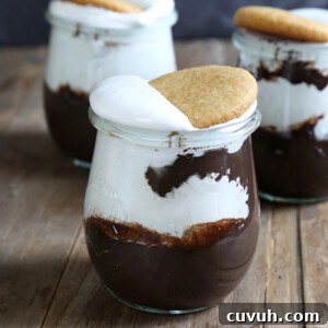 Gluten-Free S'mores Parfaits Recipe for Campfire Flavor at Home 2 img 18882 4
