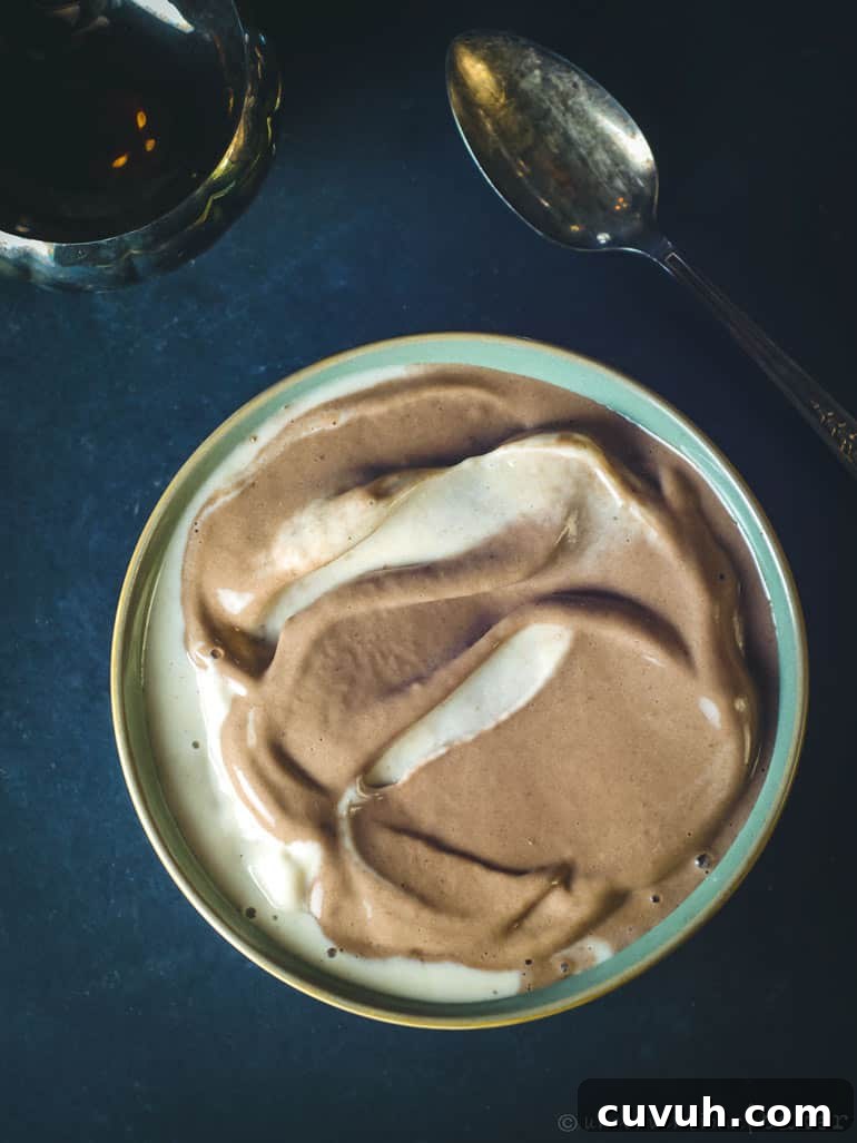Chocolate and Vanilla Ice Cream Bowl Recipe for Two 3 chocolate banana ice cream bowl (vegan)